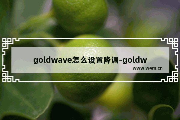 goldwave怎么设置降调-goldwave对音频进行降调处理的方法