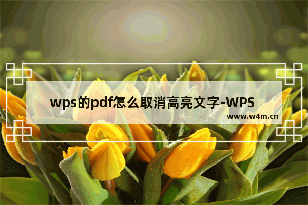 wps的pdf怎么取消高亮文字-WPS PDF文档中取消高亮文字的方法