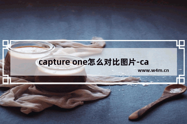 capture one怎么对比图片-capture one10把两张图片进行对比的方法