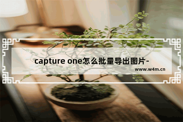 capture one怎么批量导出图片-capture one10批量导出图片的方法