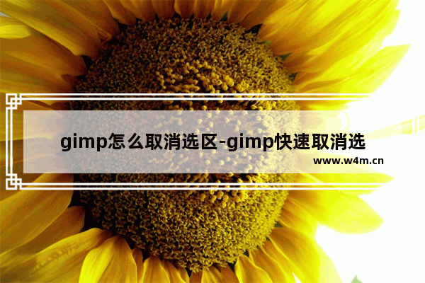 gimp怎么取消选区-gimp快速取消选区的方法教程