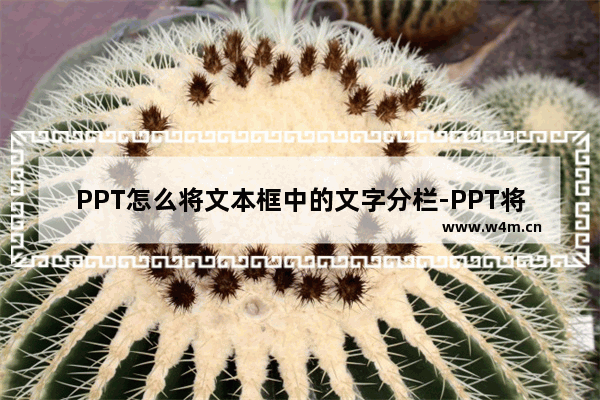 PPT怎么将文本框中的文字分栏-PPT将文本框中的文字分栏的方法