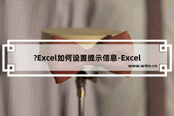 ?Excel如何设置提示信息-Excel表格中设置输入提示信息的方法教程