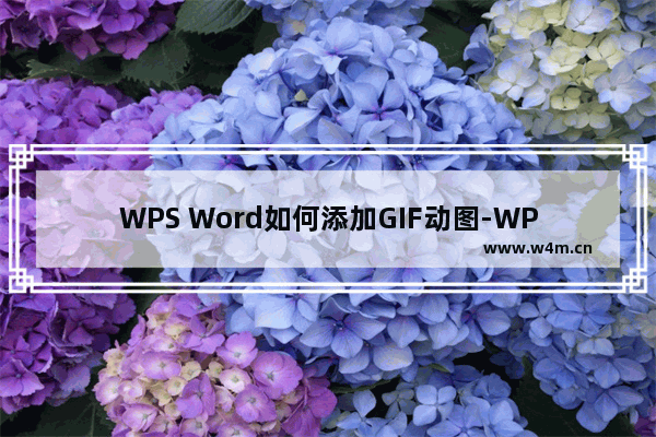 WPS Word如何添加GIF动图-WPS文档插入GIF动图的方法