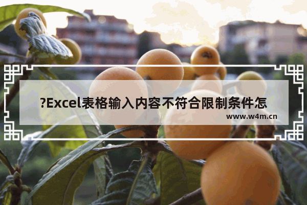 ?Excel表格输入内容不符合限制条件怎么办-Excel解决内容与限制不匹配的方法教程