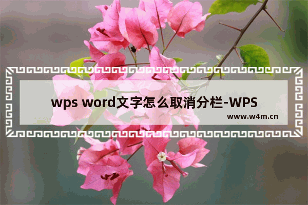 wps word文字怎么取消分栏-WPS Word文字取消分栏的方法