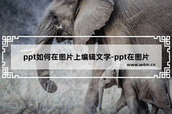 ppt如何在图片上编辑文字-ppt在图片上插入文本框的方法