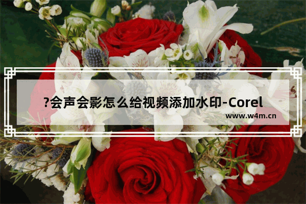 ?会声会影怎么给视频添加水印-Corel VideoStudio为视频添加图片logo水印的方法教程