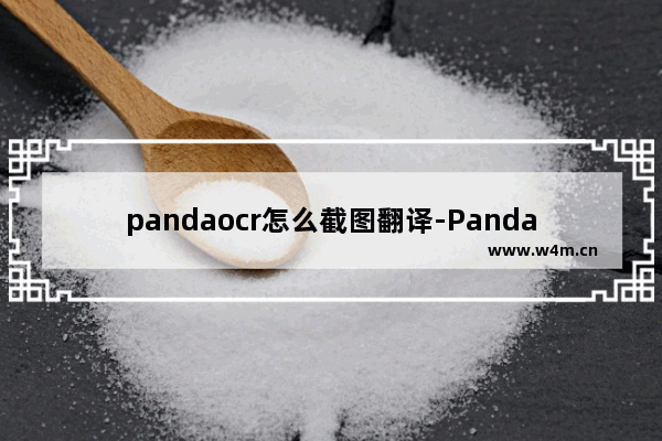 pandaocr怎么截图翻译-PandaOCR进行截图翻译的方法