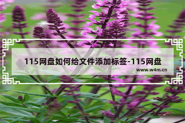 115网盘如何给文件添加标签-115网盘给文件添加标签的方法