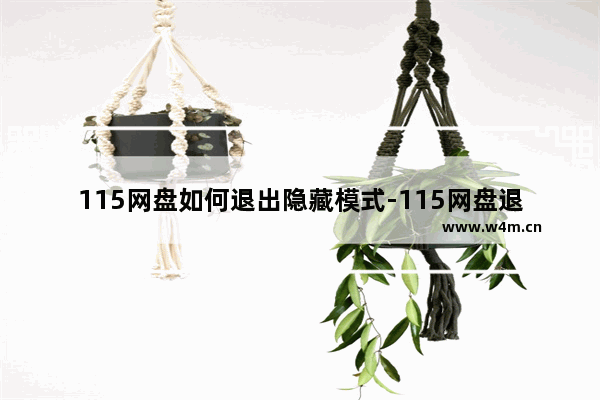 115网盘如何退出隐藏模式-115网盘退出隐藏模式的方法