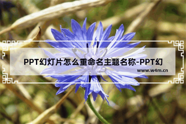 PPT幻灯片怎么重命名主题名称-PPT幻灯片主题重命名的方法