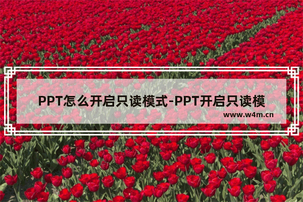 PPT怎么开启只读模式-PPT开启只读模式的方法