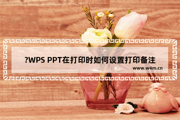 ?WPS PPT在打印时如何设置打印备注页-WPS幻灯片打印备注页的方法教程