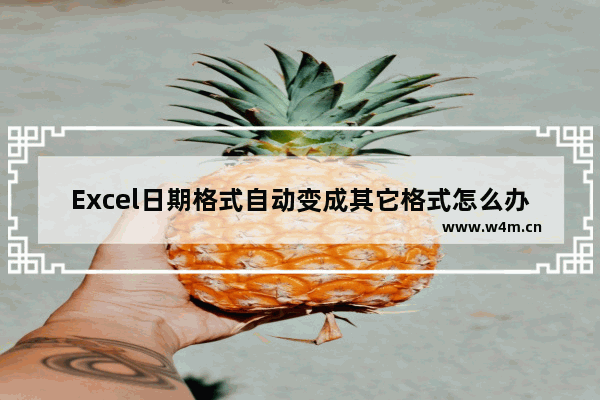 Excel日期格式自动变成其它格式怎么办-Excel日期格式自动变成其它格式的解决方法