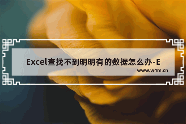 Excel查找不到明明有的数据怎么办-Excel查找不到明明有的数据的解决方法