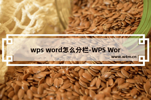 wps word怎么分栏-WPS Word文档段落分成两栏显示的方法教程