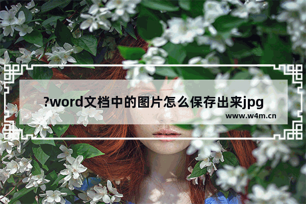 ?word文档中的图片怎么保存出来jpg-word文档把图片保存为jpg格式的方法