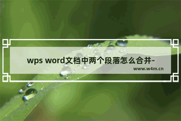 wps word文档中两个段落怎么合并-WPS Word合并段落内容的方法