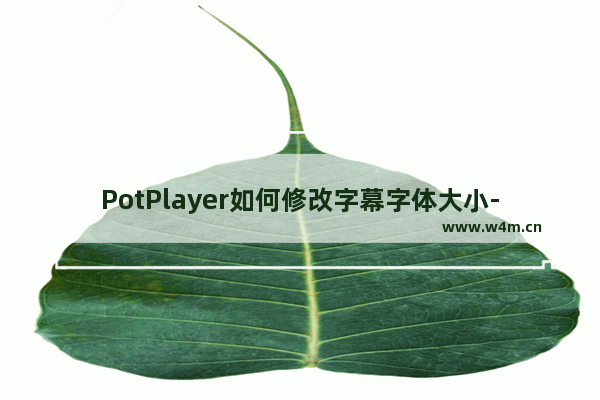 PotPlayer如何修改字幕字体大小-PotPlayer修改字幕字体大小的方法