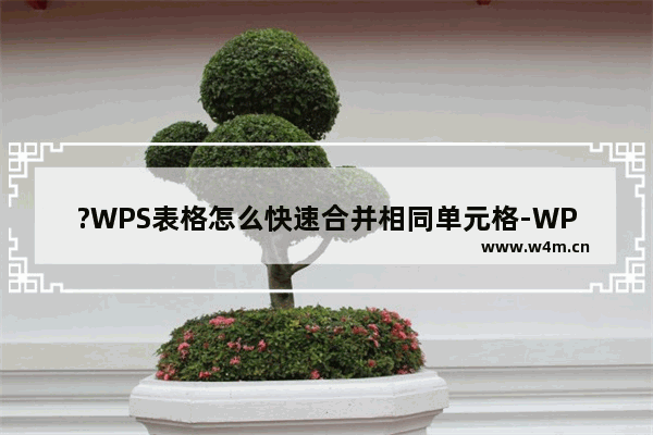 ?WPS表格怎么快速合并相同单元格-WPS表格合并具有相同内容的多个单元格的方法教程