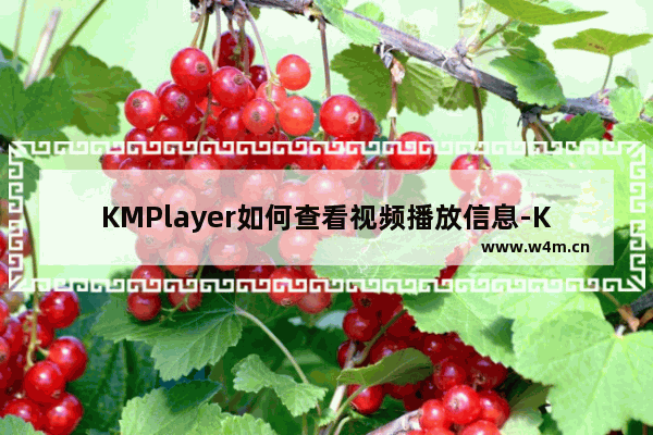 KMPlayer如何查看视频播放信息-KMPlayer查看视频播放信息的方法