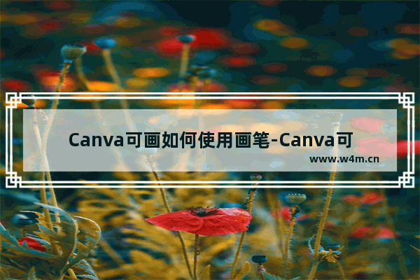 Canva可画如何使用画笔-Canva可画使用画笔的方法