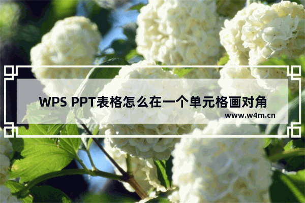 WPS PPT表格怎么在一个单元格画对角线-WPS PPT表格在一个单元格画对角线的方法