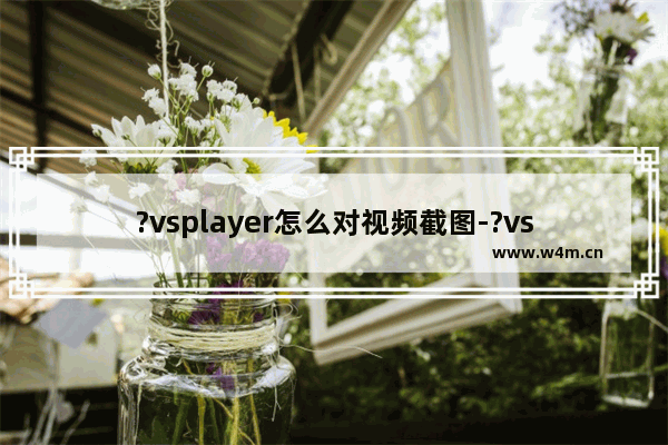 ?vsplayer怎么对视频截图-?vsplayer对视频截图的方法