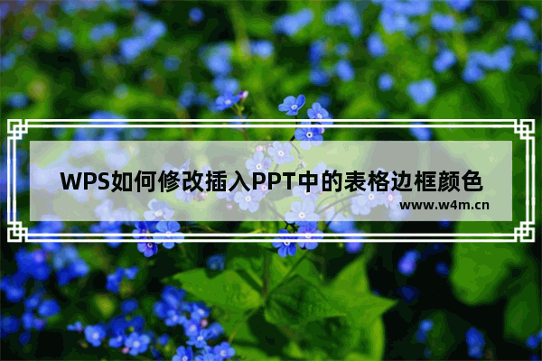 WPS如何修改插入PPT中的表格边框颜色-wps ppt表格边框线设置颜色的方法