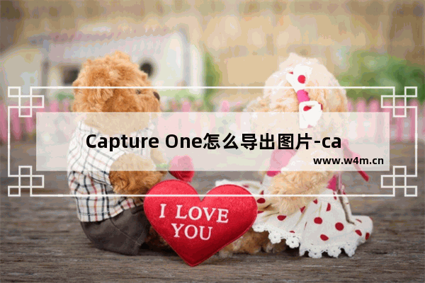 Capture One怎么导出图片-capture one10导出图片的方法