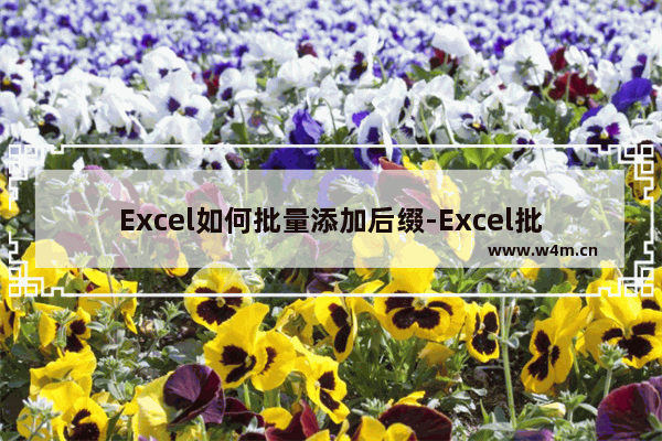 Excel如何批量添加后缀-Excel批量添加后缀的方法