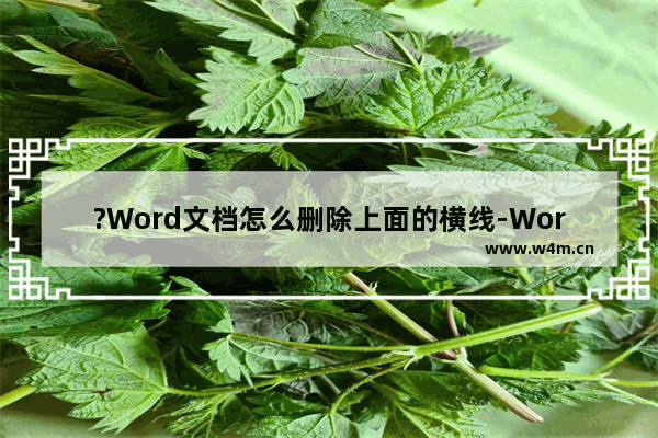 ?Word文档怎么删除上面的横线-Word去掉文档上面的线的方法教程