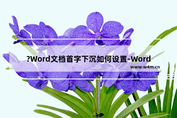 ?Word文档首字下沉如何设置-Word首字首字下沉格式的方法教程