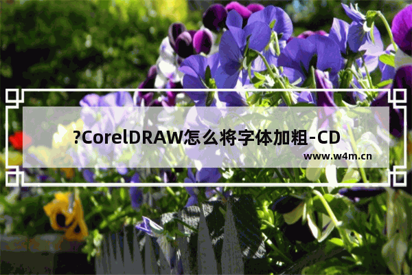 ?CorelDRAW怎么将字体加粗-CDR软件加粗字体的方法教程