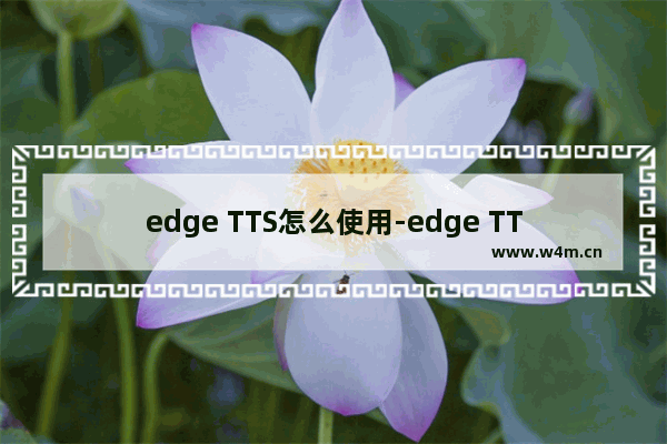 edge TTS怎么使用-edge TTS的使用方法