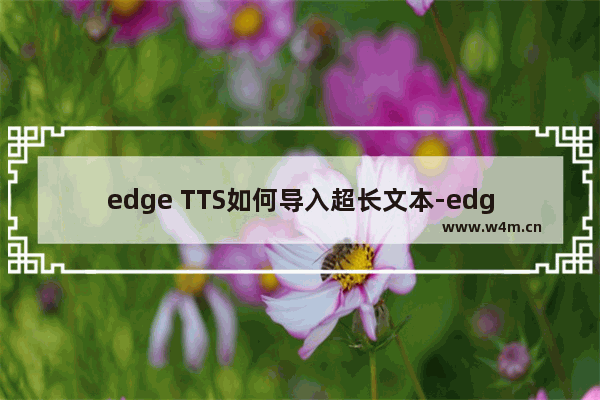 edge TTS如何导入超长文本-edge TTS导入超长文本的方法