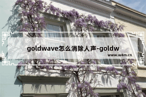 goldwave怎么消除人声-goldwave消除人声的方法教程