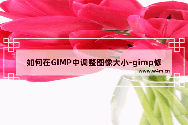 如何在GIMP中调整图像大小-gimp修改图片大小的方法