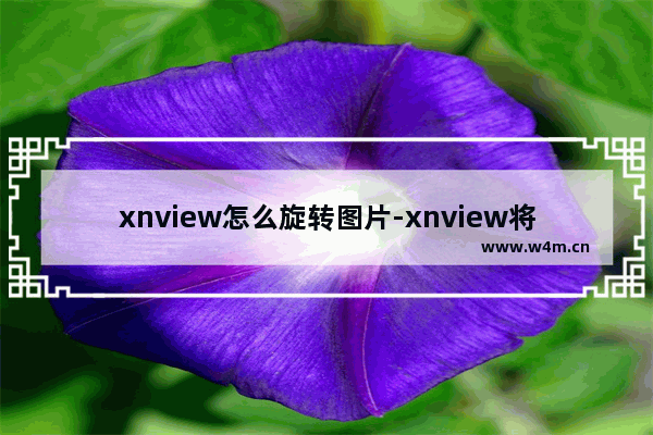 xnview怎么旋转图片-xnview将图片旋转90度的方法