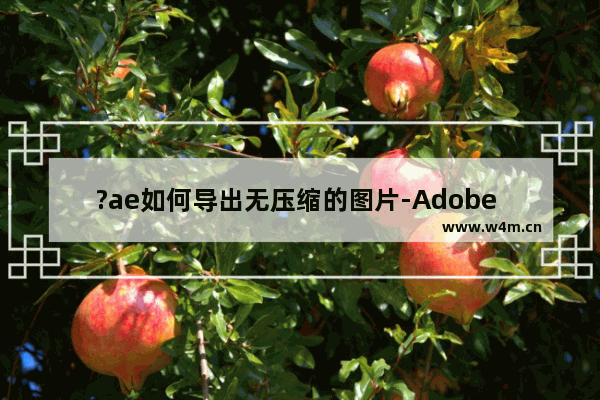 ?ae如何导出无压缩的图片-Adobe after effects导出无压缩图片的方法教程