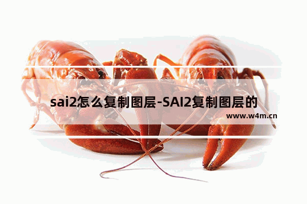 sai2怎么复制图层-SAI2复制图层的方法