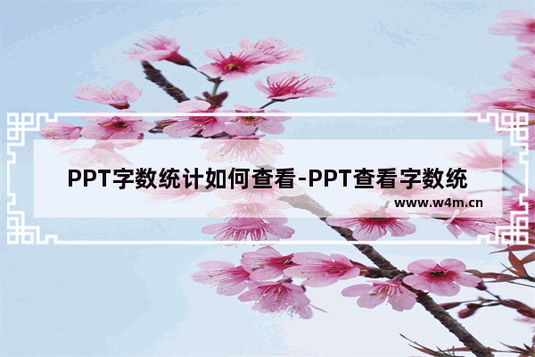 PPT字数统计如何查看-PPT查看字数统计的方法