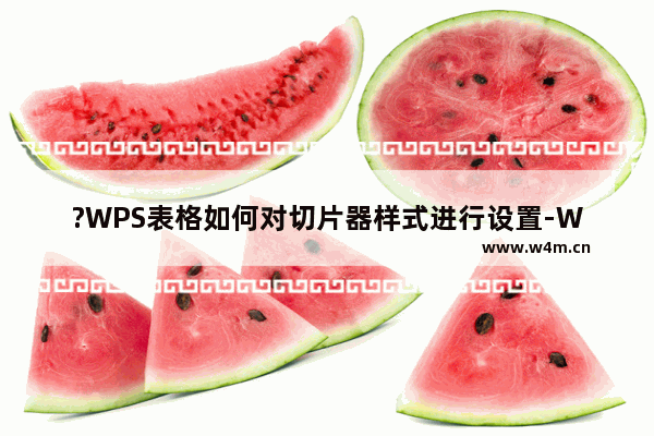 ?WPS表格如何对切片器样式进行设置-WPS Excel调整切片器样式的方法教程