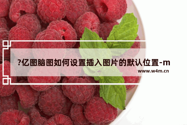 ?亿图脑图如何设置插入图片的默认位置-mindmaster设置图片在文字中的默认位置的方法教程