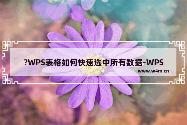 ?WPS表格如何快速选中所有数据-WPS Excel快速选中大量单元格的方法教程