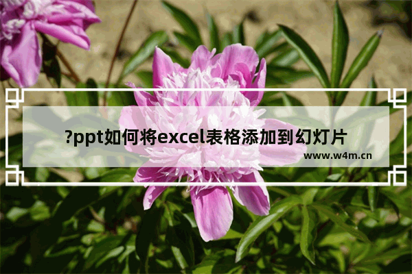 ?ppt如何将excel表格添加到幻灯片上-把excel表格导入ppt的方法