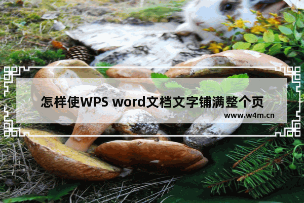 怎样使WPS word文档文字铺满整个页面-WPS Word文档文字铺满整个页面的方法教程