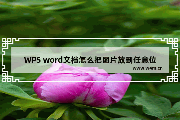 WPS word文档怎么把图片放到任意位置-WPS Word中移动图片到任意位置的方法教程