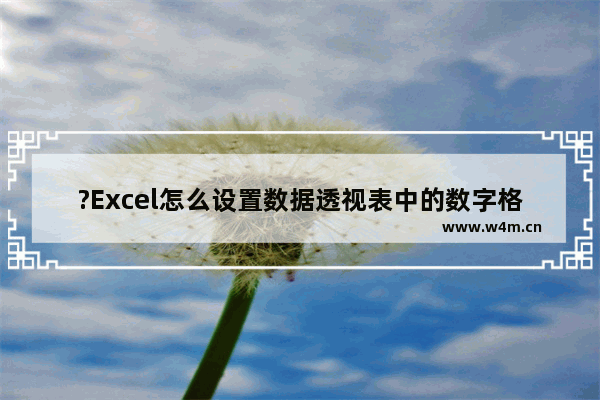 ?Excel怎么设置数据透视表中的数字格式-Excel表格修改数据透视表的数字格式的方法教程